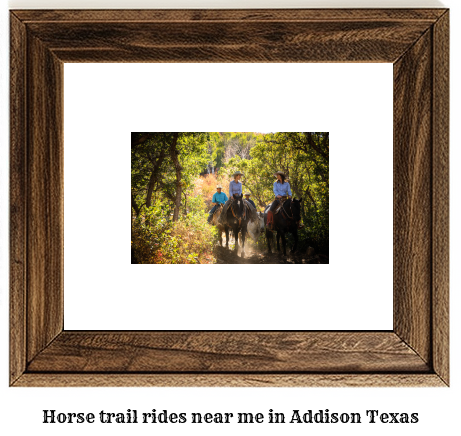 horse trail rides near me in Addison, Texas